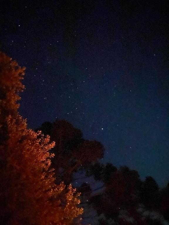 Recanto Luz Da Serra Urubici Luaran gambar