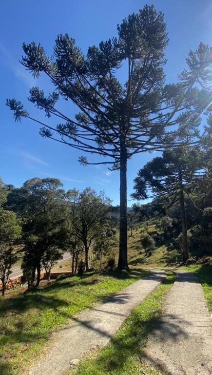 Recanto Luz Da Serra Urubici Luaran gambar